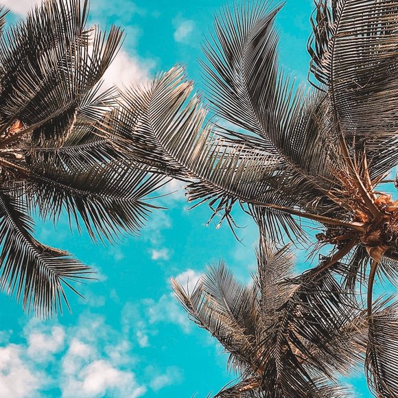 Welcome to my closet! - Picture 1 of 1